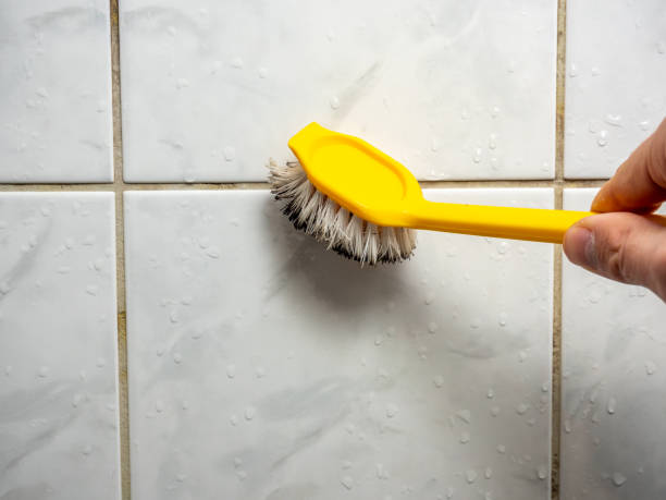 Best Mold Damage Repair  in Lodi, OH