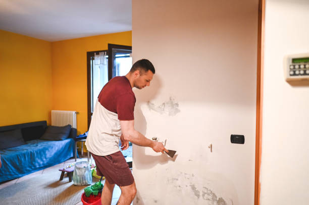 Best Residential Mold Removal  in Lodi, OH
